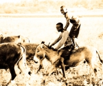 donkey ride, arusha, africa